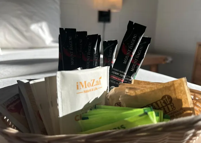 Hotel Elk Antler