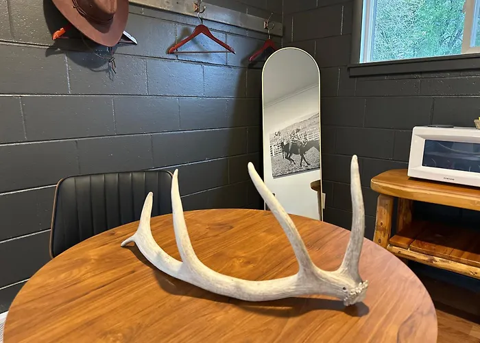 Elk Antler 4* Thermopolis